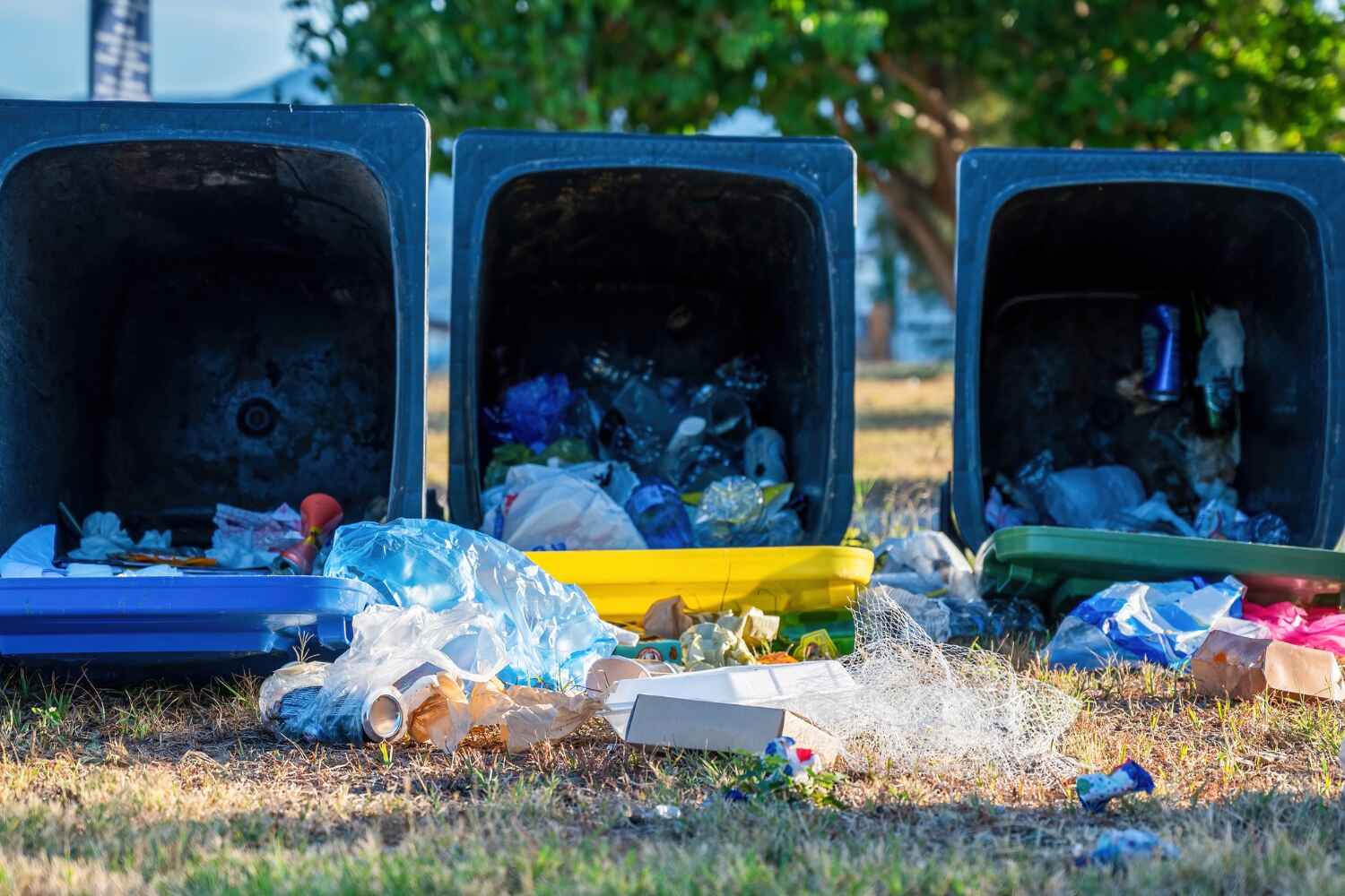 Basement Cleanout Services in South Alamo, TX